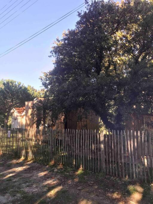 Ma Cabane Sous Les Arbres سولاك سور مير المظهر الخارجي الصورة
