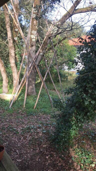 Ma Cabane Sous Les Arbres سولاك سور مير المظهر الخارجي الصورة