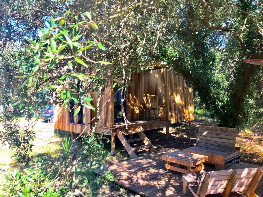 Ma Cabane Sous Les Arbres سولاك سور مير المظهر الخارجي الصورة