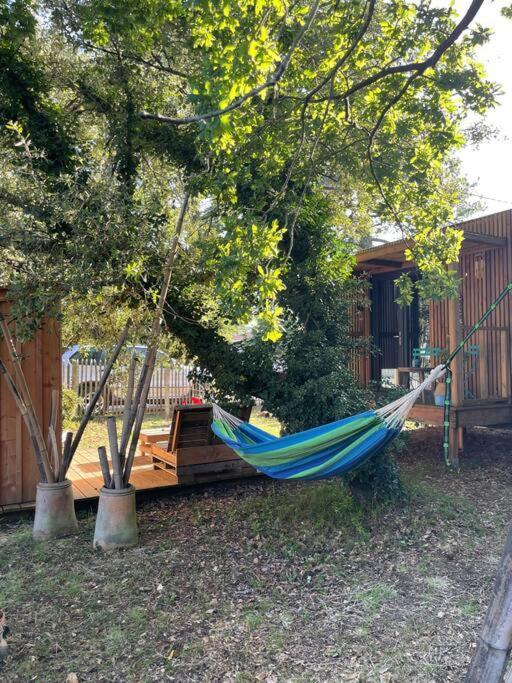 Ma Cabane Sous Les Arbres سولاك سور مير المظهر الخارجي الصورة